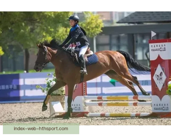 足球直播DAZN全景解析赛事覆盖体验与未来发展趋势